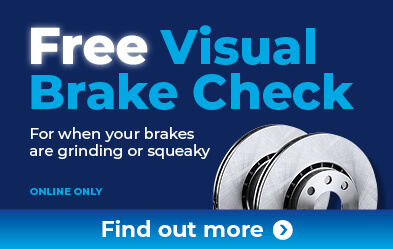 Free Visual Brake Check